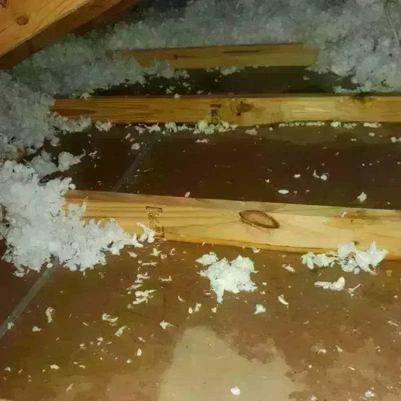 Attic Water Damage in East Oakdale, CA