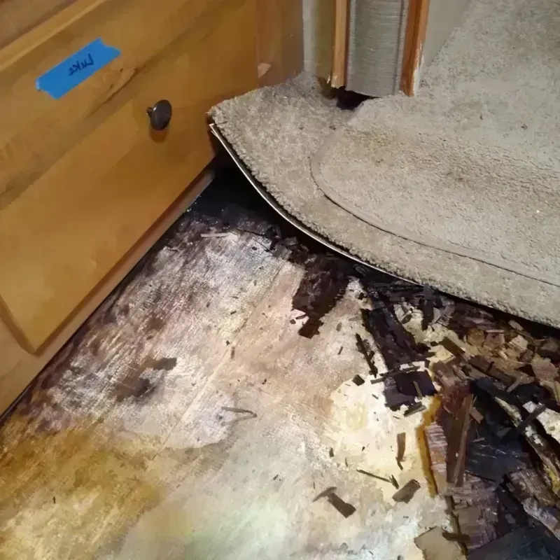 Wood Floor Water Damage in East Oakdale, CA